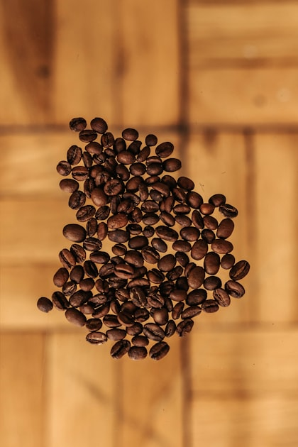 Choosing the Right Coffee Beans